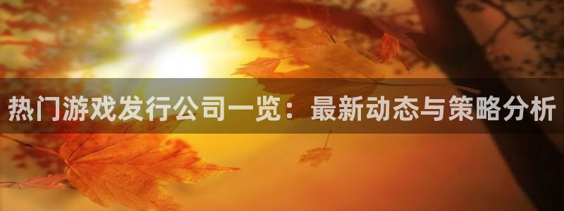 非凡游戏官网涂料(北京)有限公司：热门游戏发行公司一览：最新动态与策略分析