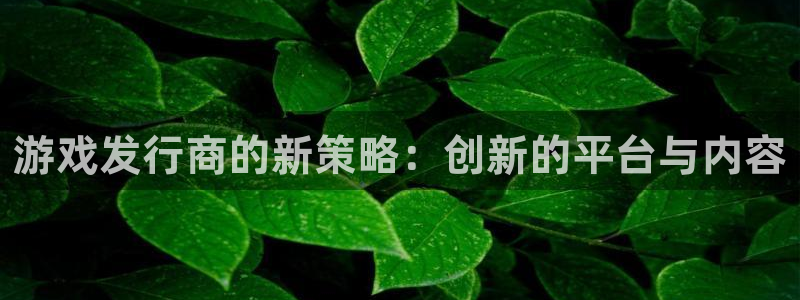 非凡游戏官网娱乐测速官网：游戏发行商的新策略：创新的平台与内容