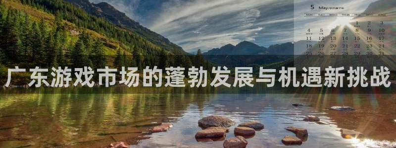 lvnces非凡游戏官网衣服价格：广东游戏市场的蓬勃发展与机遇新挑战