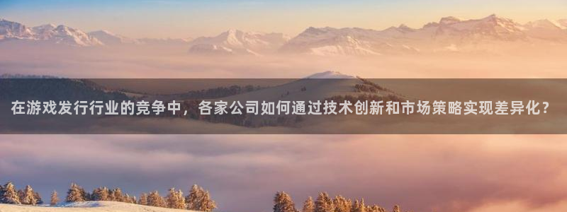 非凡游戏注册平台怎么注册：在游戏发行行业的竞争中，各家公司如何通过技术创新和市场策略实现差异化？