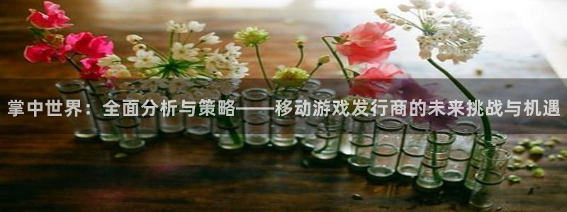 非凡游戏挂机项目怎么样啊：掌中世界：全面分析与策略——移动游戏发行商的未来挑战与机遇