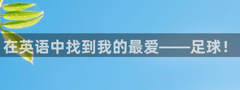 3377体育com：在英语中找到我的最爱——足球！