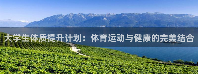 3377体育官网入口下载最新