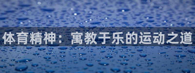 3377体育手机平台：体育精神：寓教于乐的运动之道