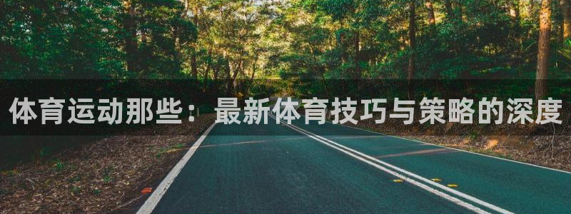 3377体育是正规的吗：体育运动那些：最新体育技巧与策略的深度
