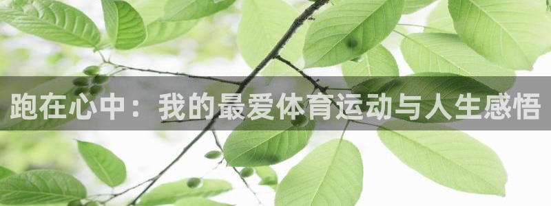 3377体育官网入口下载最新：跑在心中：我的最爱体育运动与人生感悟