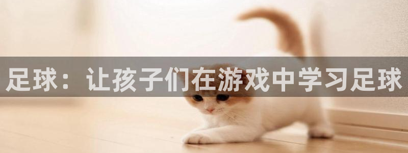3377体育官网：足球：让孩子们在游戏中学习足球