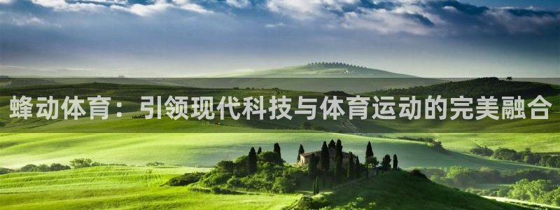 3377体育在线登录官网入口：蜂动体育：引领现代科技与体育运动的完美融合