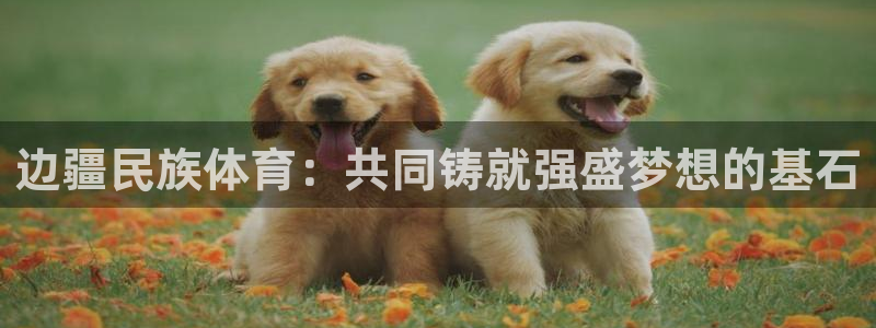 3377体育com：边疆民族体育：共同铸就强盛梦想的基石