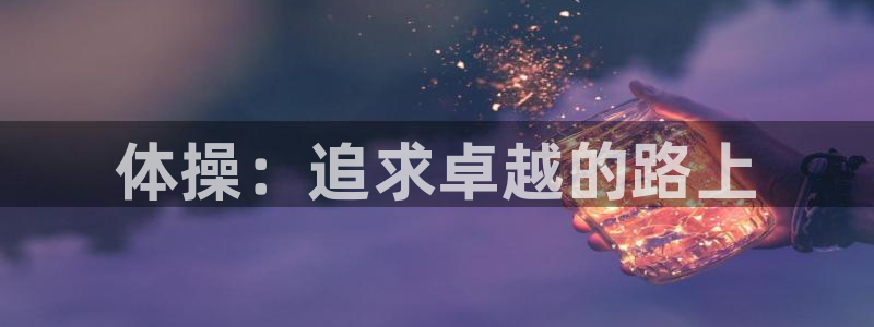 3377体育全网：体操：追求卓越的路上